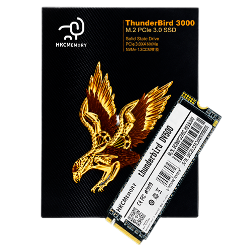 M2 DE 500GB